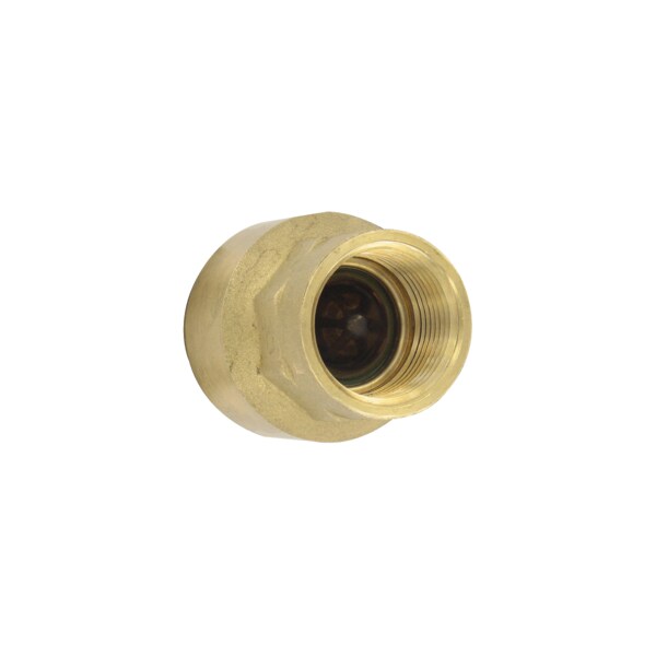 Brass inline check valve, 3/4" connection, 11.0 Cv value, weight 7.8 oz (222 g).